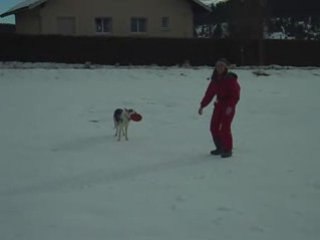 Début avec un frisbee