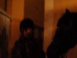 Louloute et moi dans son boxe