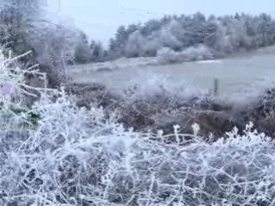 Givre C