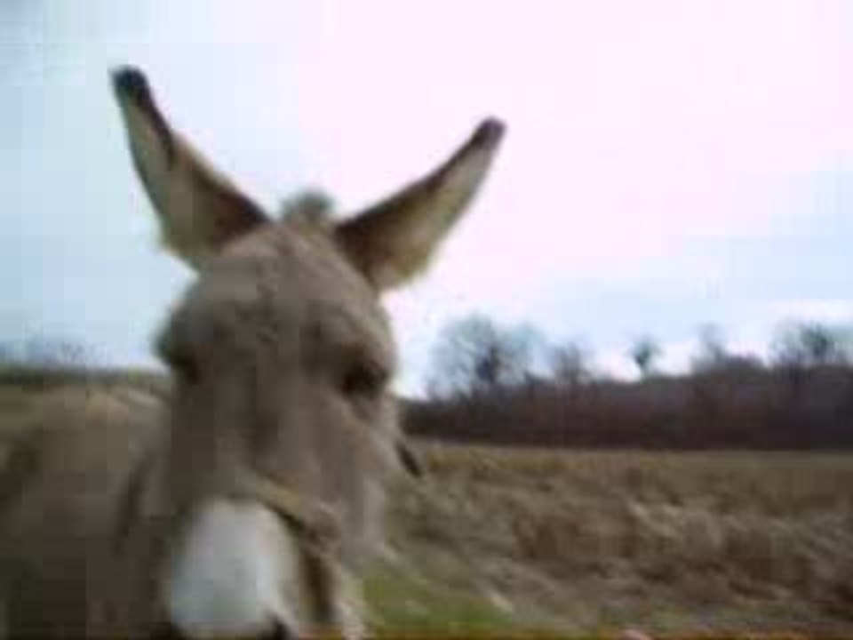 Naby fait de la voiture!!!