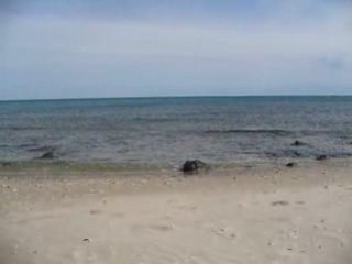 plage roquille cap d'agde soleil