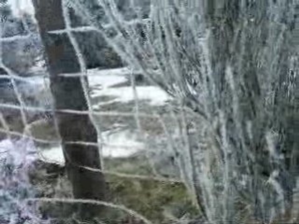 Givre tombe