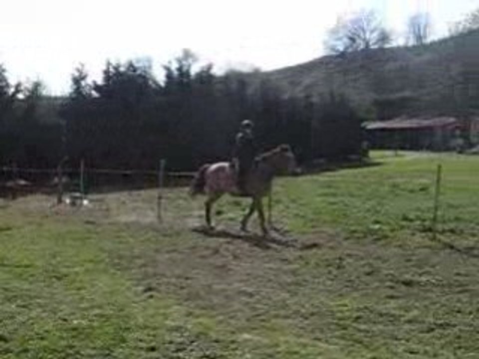 25.03.07