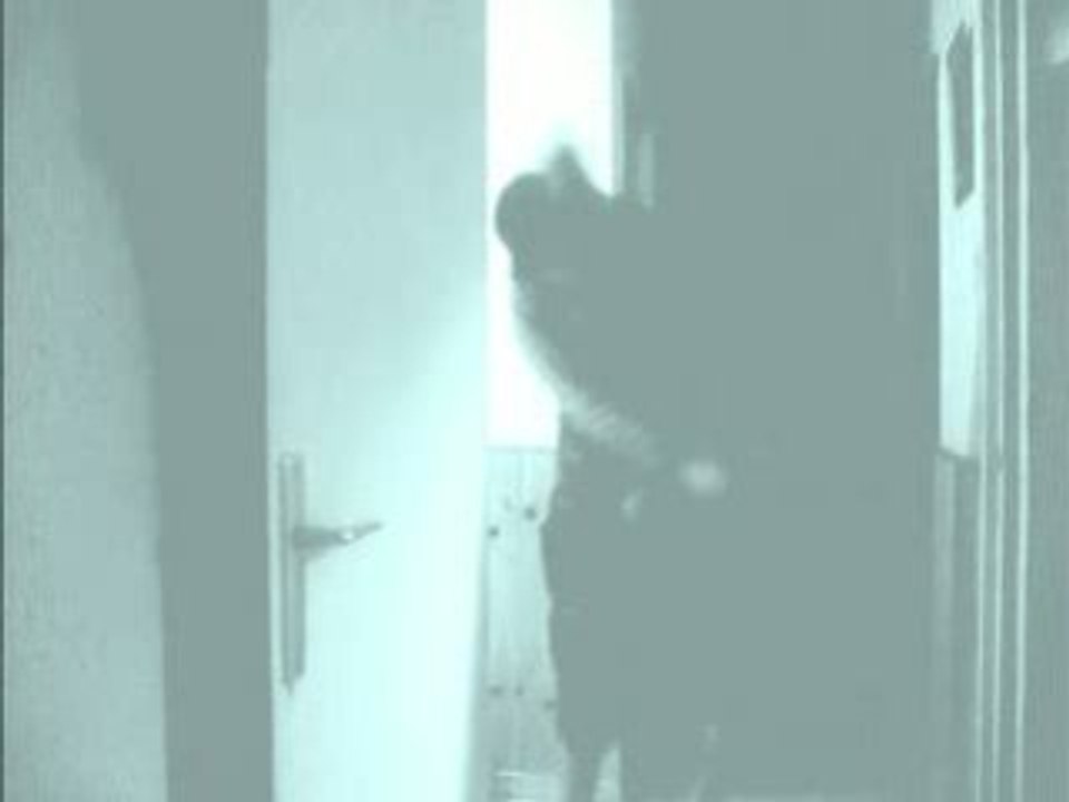 Totor #35 Spectrø Espoir