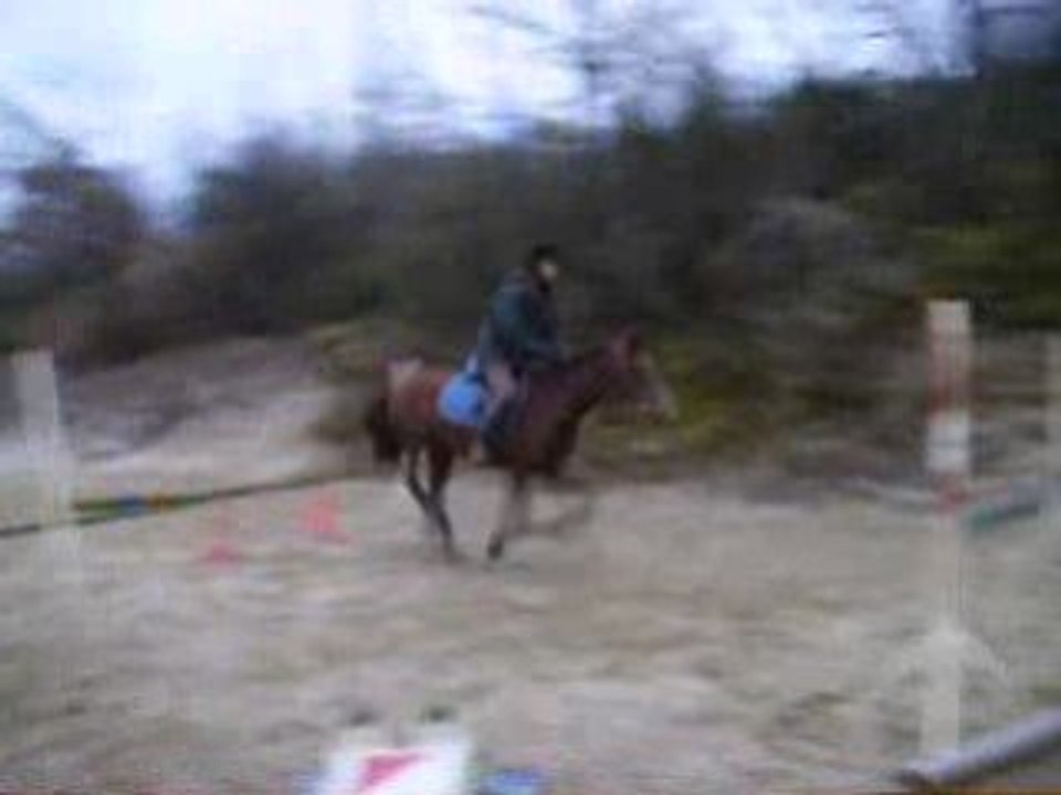 Séance de Saut : Nissou et Pucy