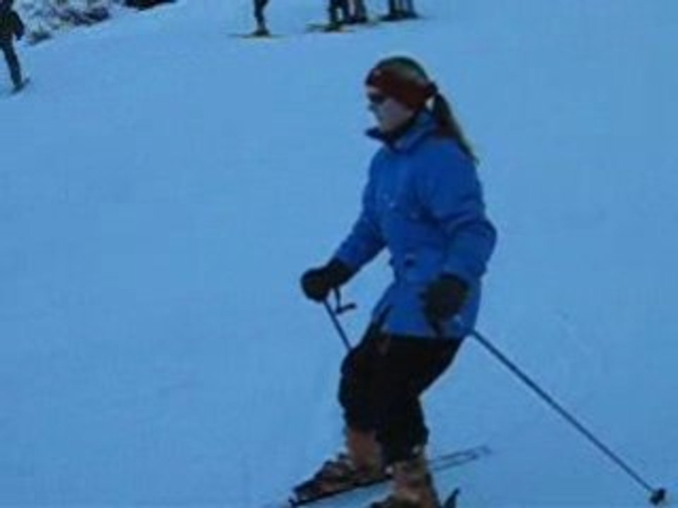 bernex 2008 a