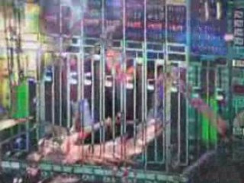 INFECTED MUSHROOM  (I Wish - Remix - for Skazi)