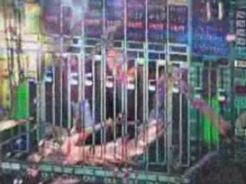 INFECTED MUSHROOM (I Wish - Remix - for Skazi)