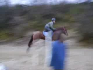 Séance de saut : Gwen et Pucy