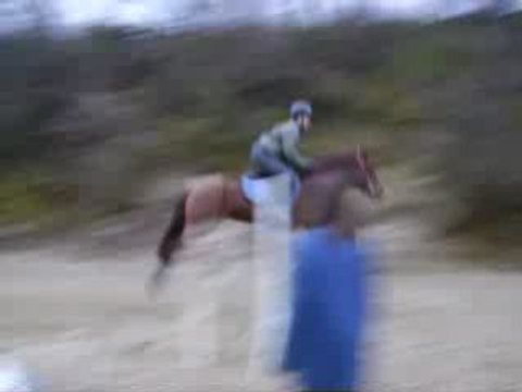 Séance de saut : Gwen et Pucy