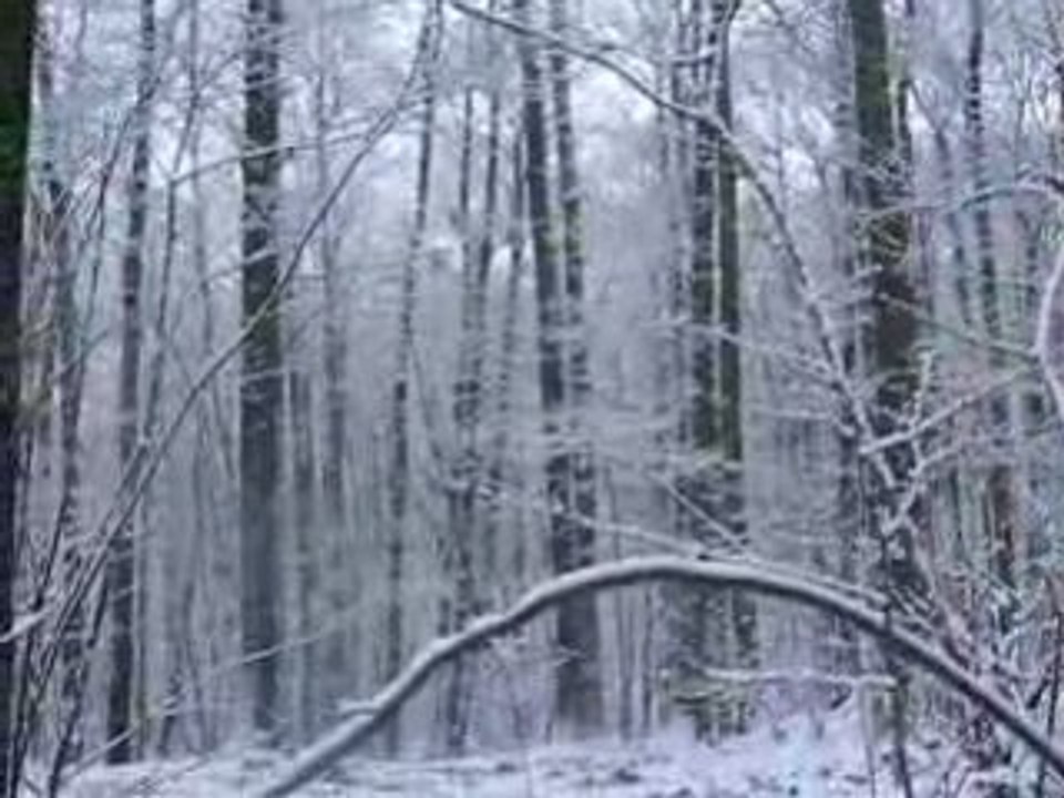 Promenade en forêt de Clamart et Meudon sous la neige