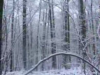 Promenade en forêt de Clamart et Meudon sous la neige