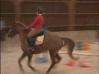 Constance & Hoggar CSO
