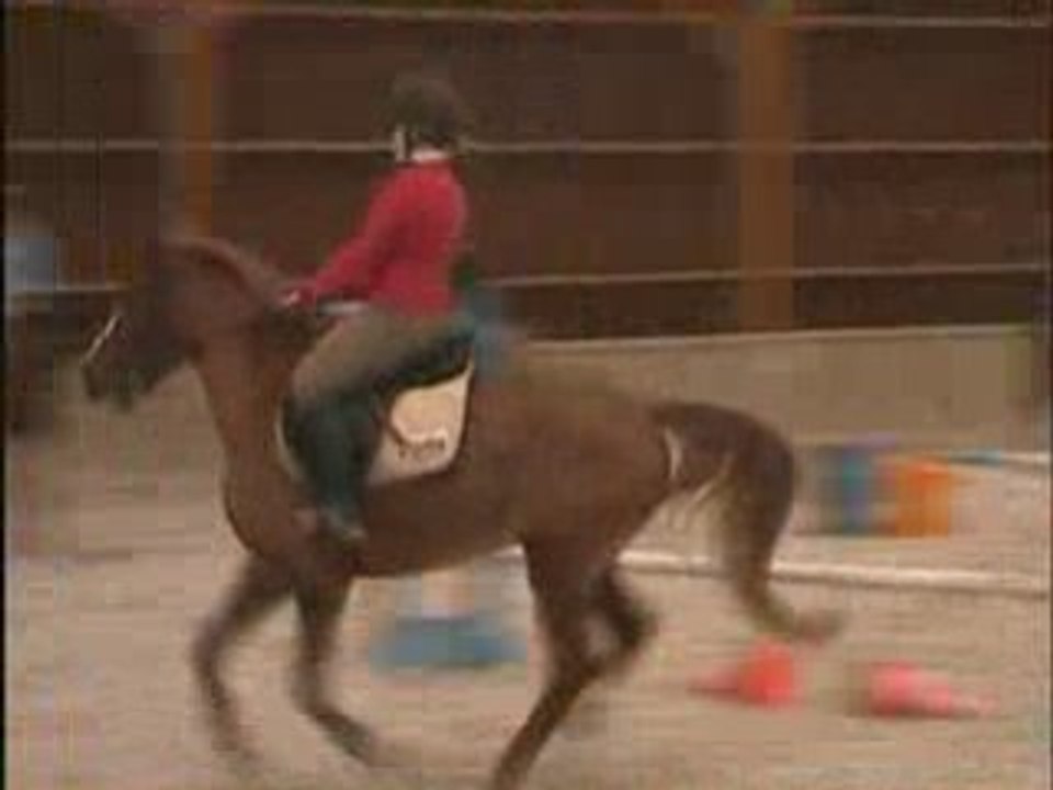 Constance & Hoggar CSO