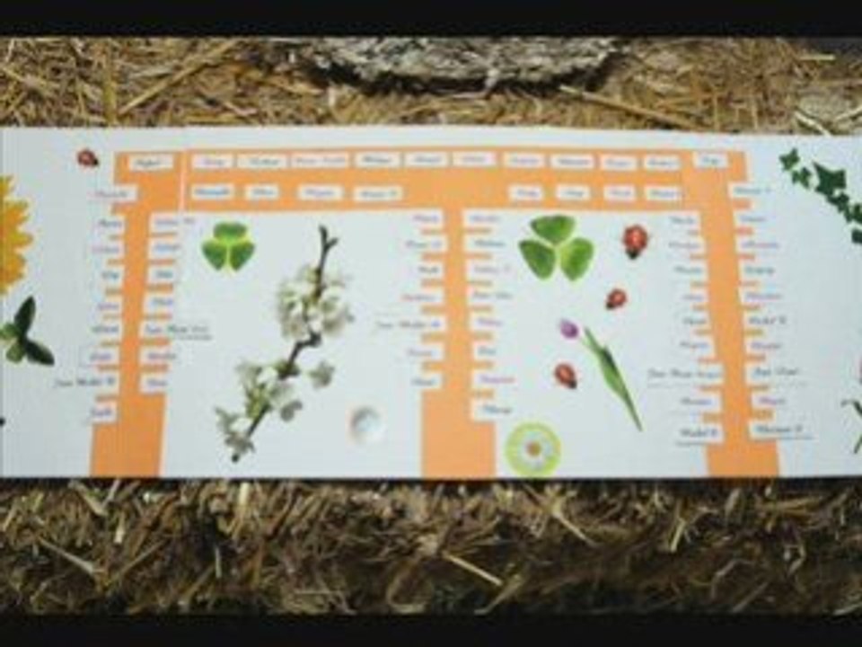 Mariage Daniel et Valérie