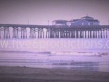 Seal Beach Wetlands Footage FiveSix