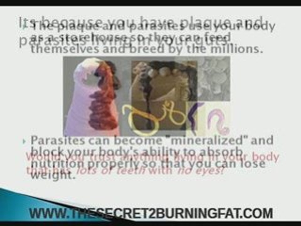 FAT BURNING TIPS AND SECRETS