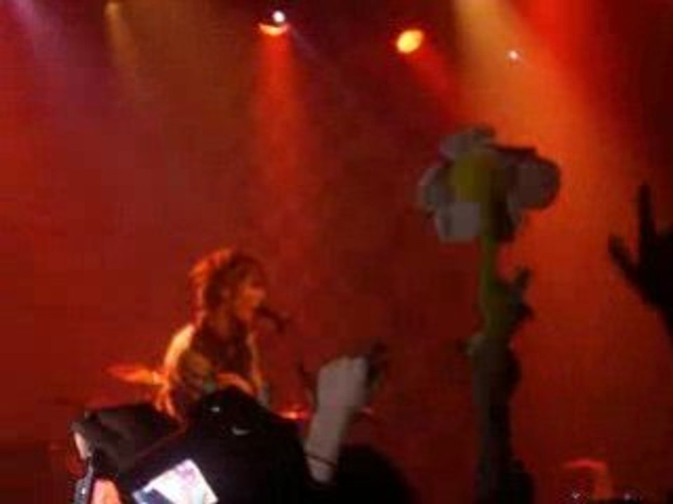 LiebMichHassMich Concert Killerpilze Bataclan 20/12/08