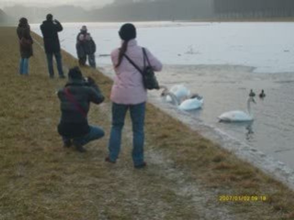 Versailles 2 Janvier