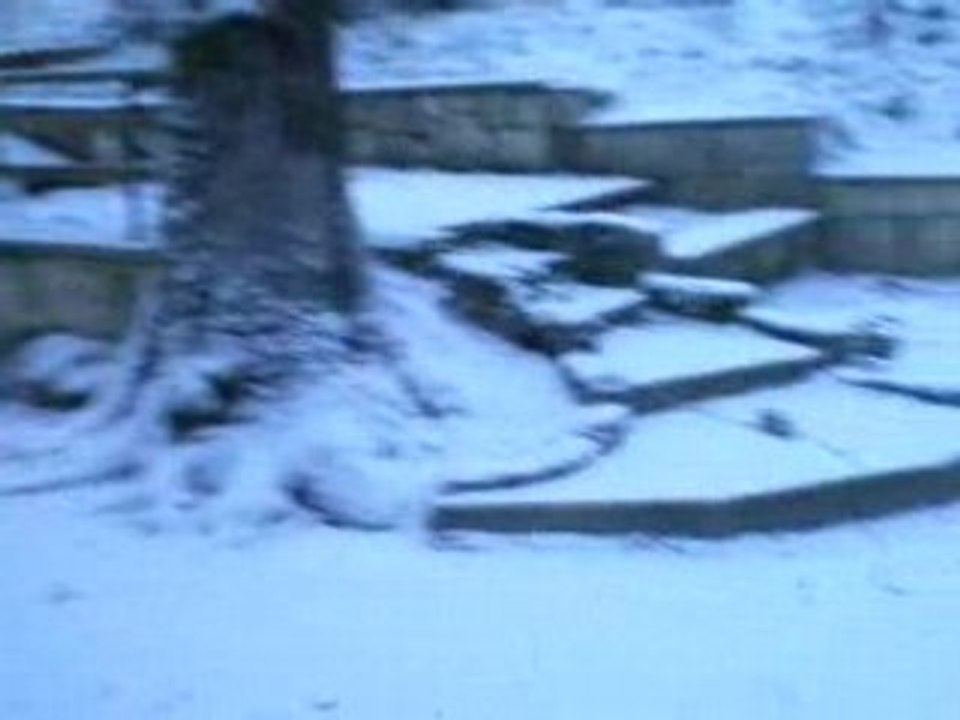 re neige