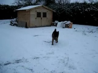 CESAR JANVIER 2009 08_xvid