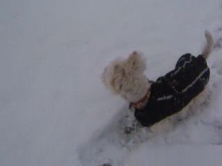 Caly 1ère neige 06-01-09