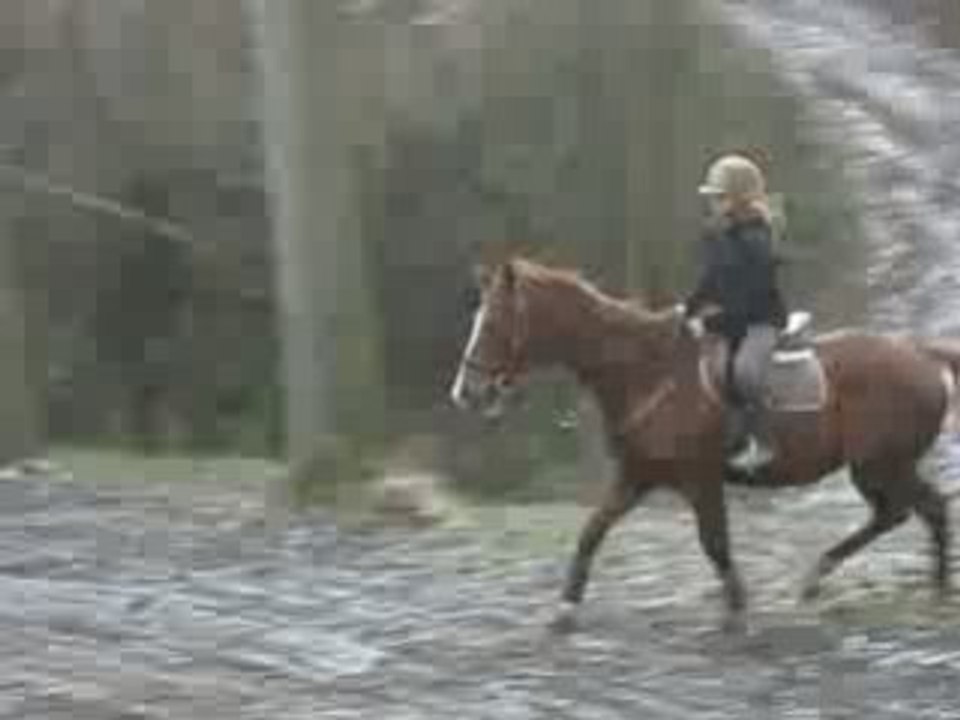 cross avec Betty