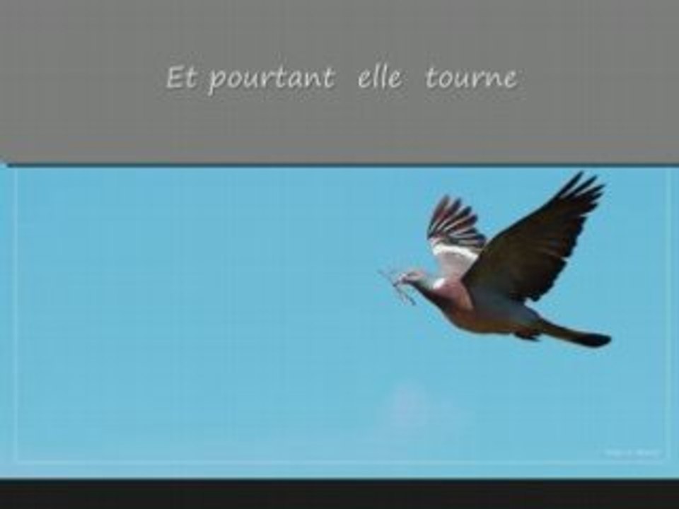 SARAJÉVO- LOTFI BOUCHENAK