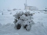 Millau sous la neige.  Janvier 2006