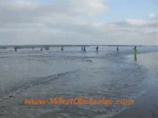 Xmas Swim - What Obstacles