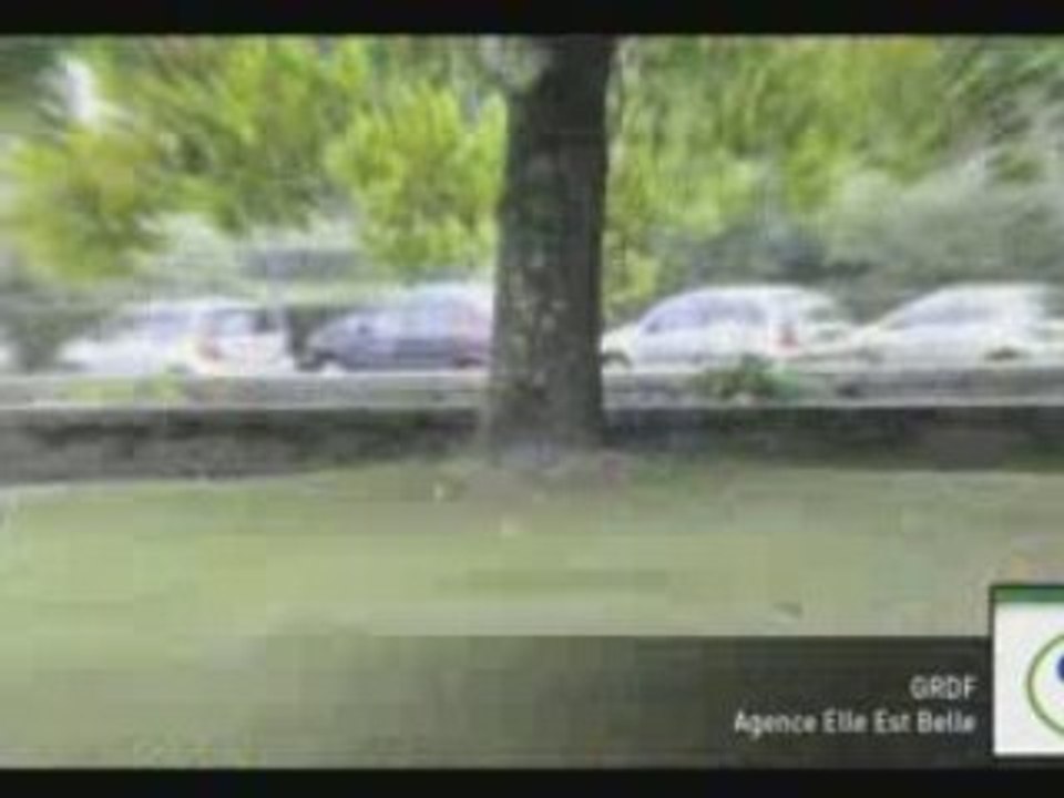 Habillage graphique / GrDF / Agence Elle Est Belle