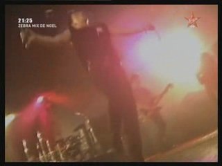 Zebra mix de Noël - Partie N° 13