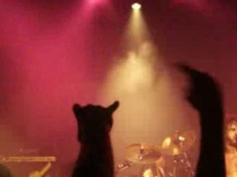 HEARTBREAKER AIRBOURNE BORDEAUX