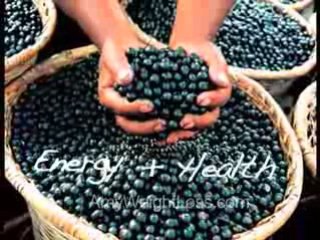 Where Can I Get Acai? I paid $5 and lost 44 pounds fast!