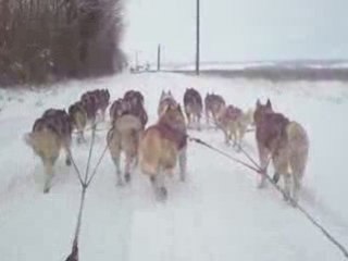 Entrainement neige 06 janvier 2009