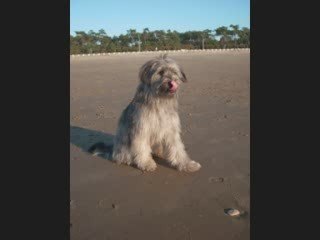 City Obérythemé a 11 Mois