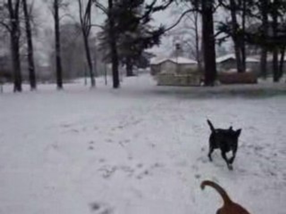 Mes gros à la neige