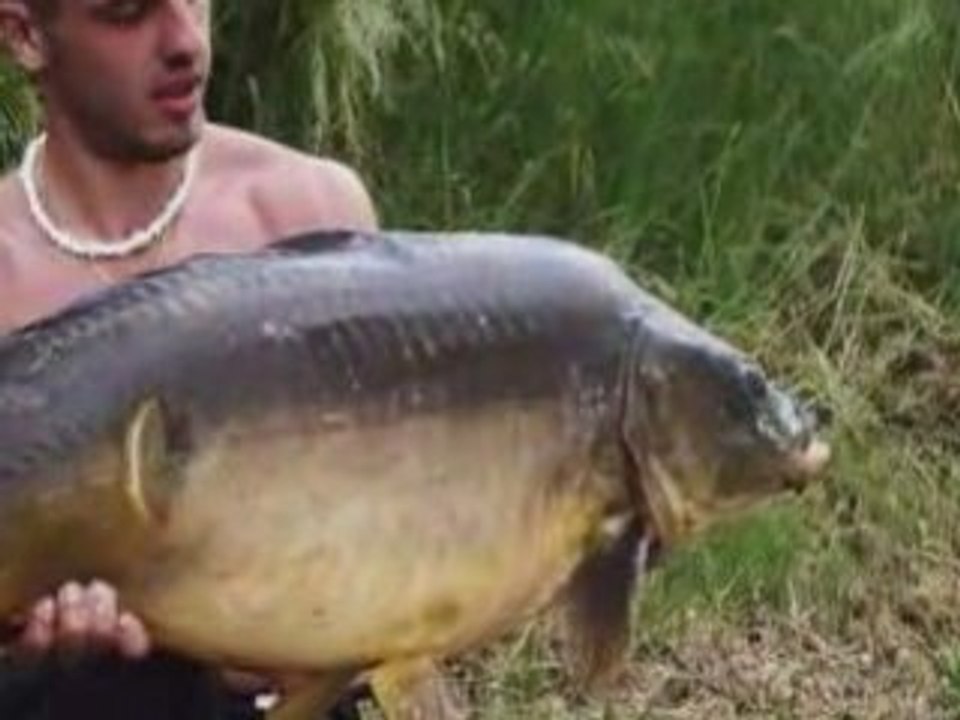 saison de pêche carpe 2008