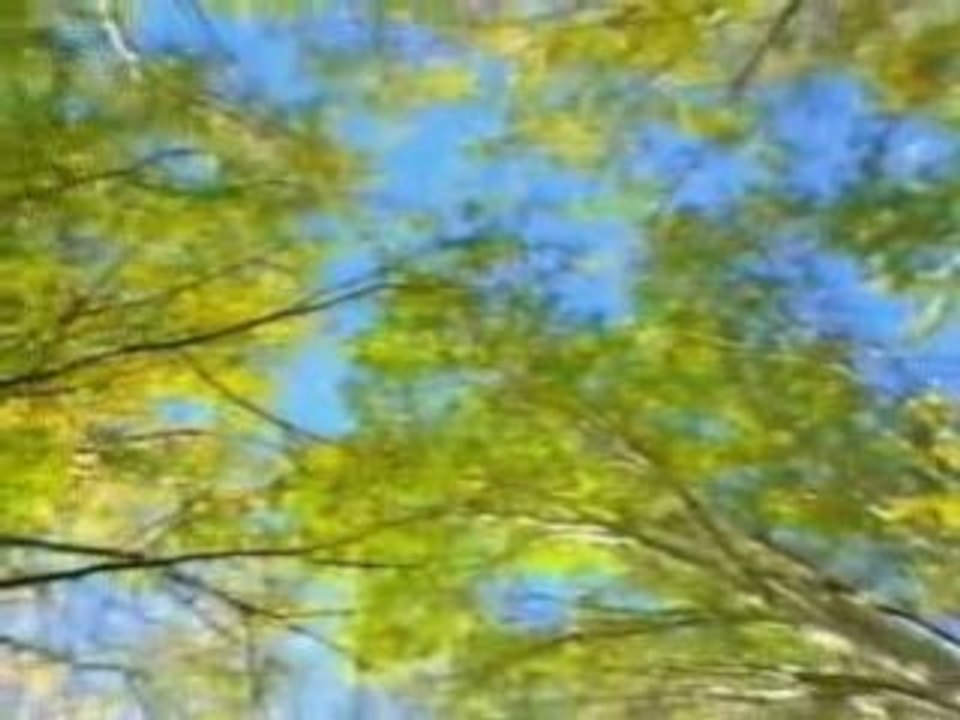 Видеоклип "Осень"  сл. и муз. Юрий Черкашин