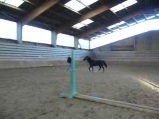mon cheval et mon père