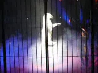 tigre blanc cirque bouglione