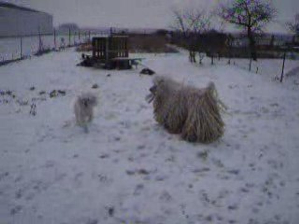 dans la neige