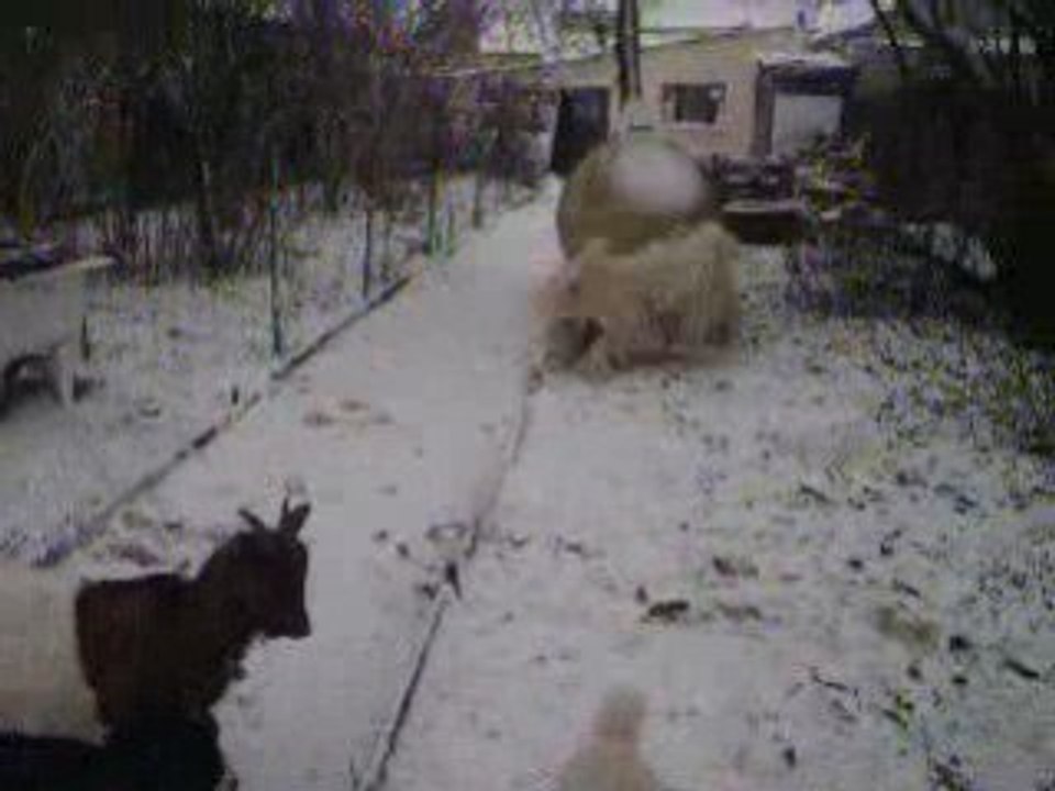 sous la neige