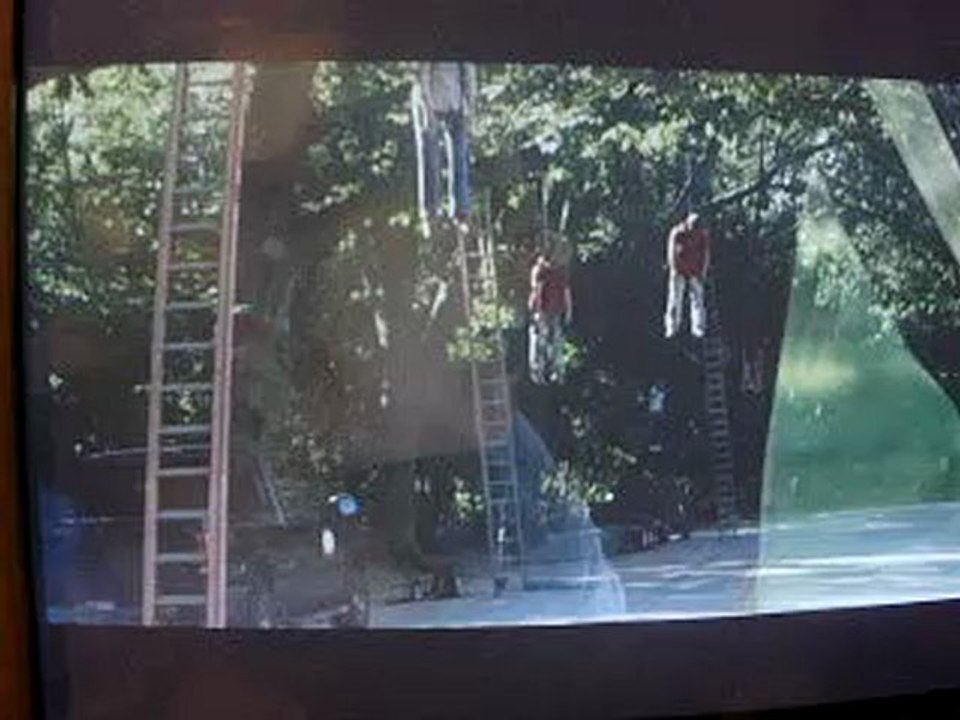 Phenomenes extrait 1