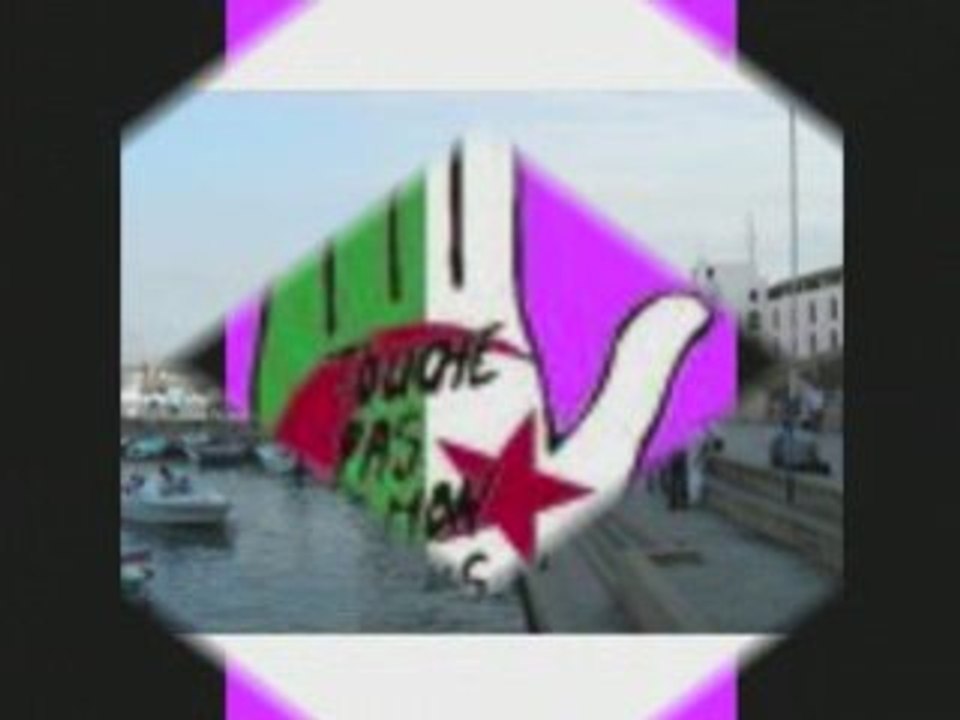 Alger la blanche 2009