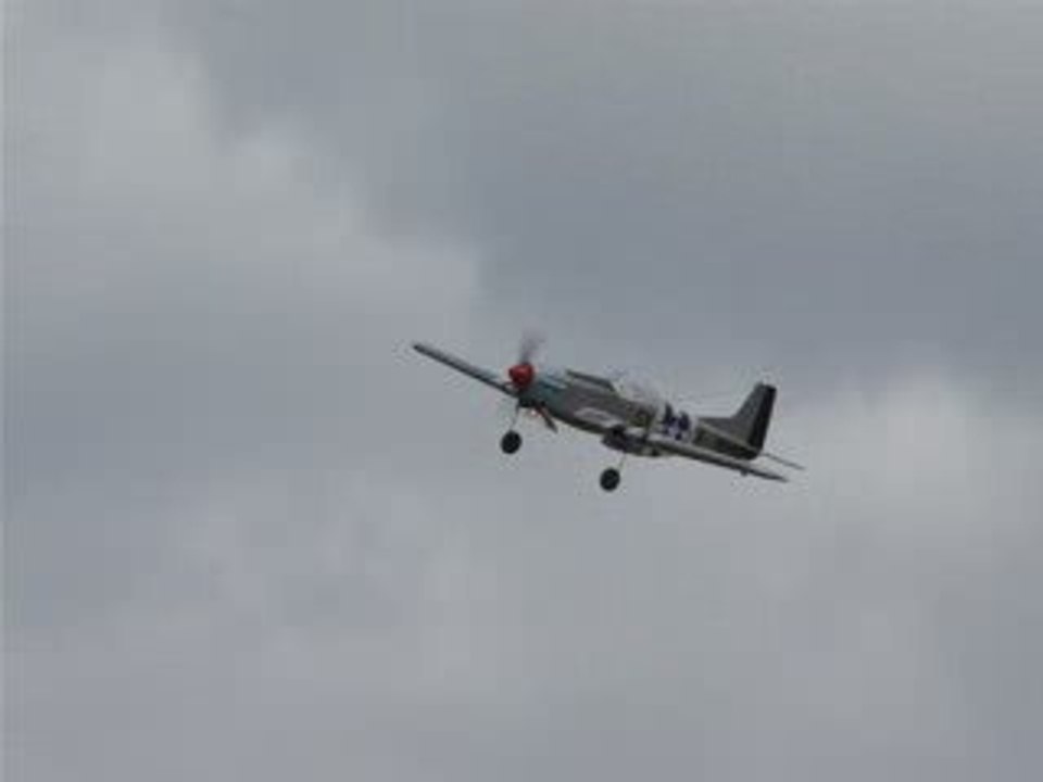 P51 Mustang D'ERIC II