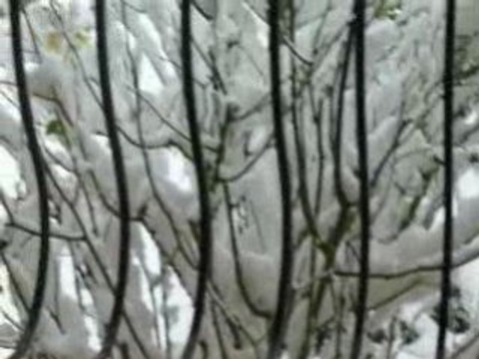 P1020872