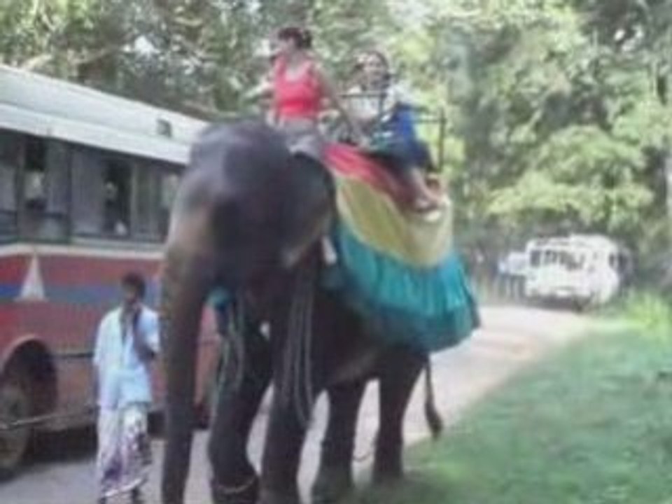 Promenade en éléphant à Sigiriya