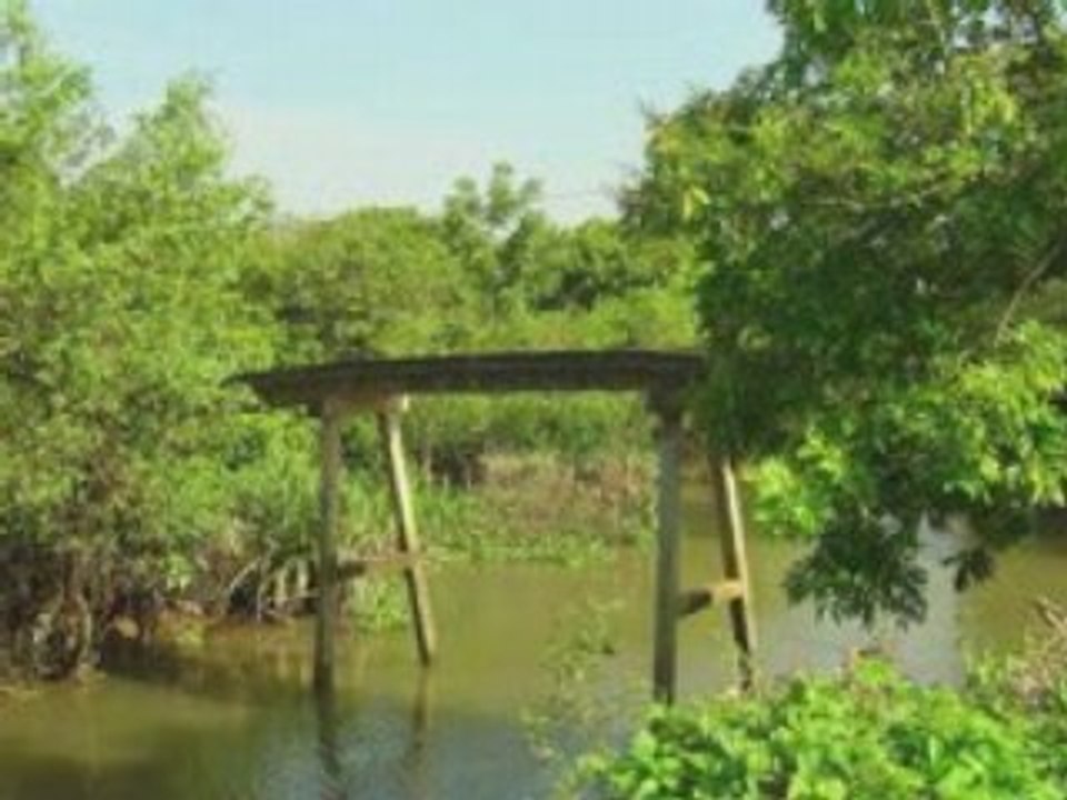 Viet-nam