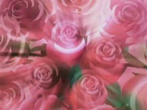 ВСЕ ТВОИ СЛОВА!